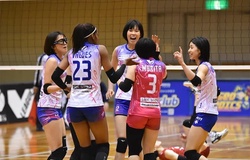 Trực tiếp giải bóng chuyền nữ Nhật Bản ngày 29/10: PFU BlueCats vs Toray Arrows
