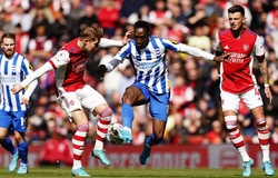 Dự đoán kết quả Arsenal vs Brighton: Bắn hạ Mòng biển