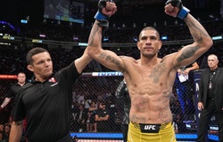 Alex Pereira tại UFC 281 và những võ sĩ có hành trình tranh đai ngắn nhất UFC