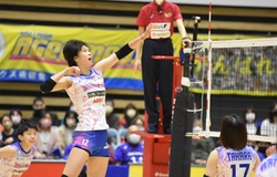 Trực tiếp Thanh Thúy thi đấu bóng chuyền Nhật Bản ngày 12/11: PFU BlueCats vs Toyota