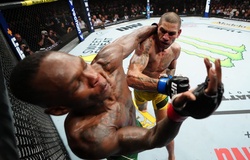 UFC 281: Alex Pereira nối dài nỗi hận của Israel Adesanya, đai vô địch đổi chủ