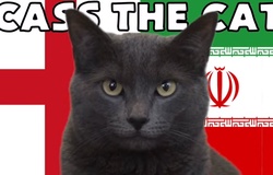 Mèo tiên tri dự đoán Anh vs Iran, 20h ngày 21/11