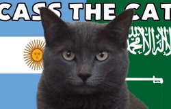 Mèo tiên tri dự đoán Argentina vs Saudi Arabia, 17h ngày 22/11