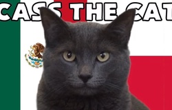 Mèo tiên tri dự đoán Ba Lan vs Mexico, 23h ngày 22/11