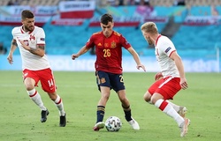 Tỷ lệ kèo Tây Ban Nha vs Costa Rica, World Cup 2022, 23h00 ngày 23/11