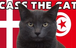 Mèo tiên tri dự đoán Đan Mạch vs Tunisia, 20h ngày 22/11