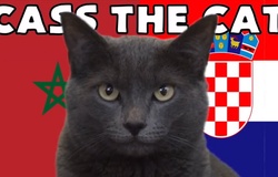 Mèo tiên tri dự đoán Ma Rốc vs Croatia, 17h ngày 23/11