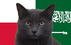 Mèo tiên tri dự đoán Ba Lan vs Saudi Arabia