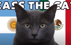 Mèo tiên tri dự đoán Argentina vs Mexico, 2h ngày 26/11