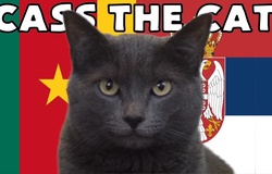 Mèo tiên tri dự đoán Cameroon vs Serbia