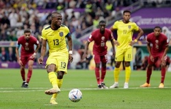 Nhận định Ecuador vs Senegal: Hiên ngang đi tiếp 