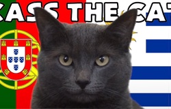 Mèo tiên tri dự đoán Bồ Đào Nha vs Uruguay, 2h ngày 29/11