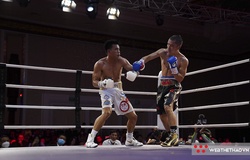 Từ Fortunes of War đến khát khao và tham vọng chinh phục của boxing chuyên nghiệp Việt Nam