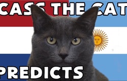 Mèo tiên tri dự đoán kết quả bóng đá Hà Lan vs Argentina
