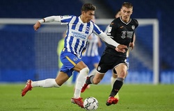 Nhận định, soi kèo Charlton vs Brighton: Chim mòng biển bay cao