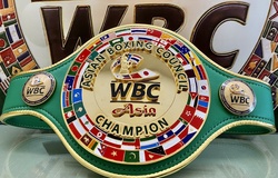 WBC mở hạng cân cho người chuyển giới thi đấu Boxing