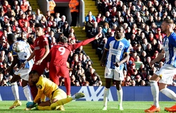 Tỷ lệ kèo trận Brighton vs Liverpool, Ngoại hạng Anh, 22h ngày 14/1