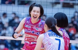 Trực tiếp Thanh Thúy thi đấu bóng chuyền Nhật Bản ngày 4/2: PFU BlueCats vs JT Marvelous