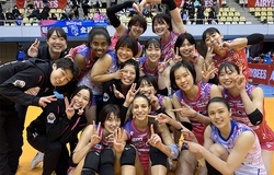 Trực tiếp Thanh Thúy thi đấu bóng chuyền Nhật Bản ngày 26/2: PFU BlueCats vs Denso Airybees