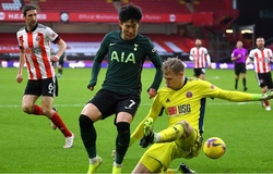 Nhận định Sheffield vs Tottenham: Gà trống bay cao