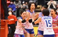 Trực tiếp Thanh Thúy thi đấu bóng chuyền Nhật Bản ngày 4/3: PFU BlueCats vs Hisamitsu