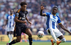 Nhận định Leeds vs Brighton: Khó khăn kéo dài