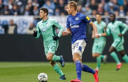 Nhận định Hoffenheim vs Schalke: Hấp dẫn cuộc đua trụ hạng