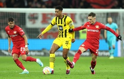 Nhận định Leverkusen vs Saint Gilloise: Giải mã hiện tượng