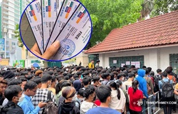 “Cháy” vé miễn phí bóng đá SEA Games 32, nín thở chờ thông tin trận U22 Việt Nam vs U22 Lào