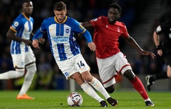 Nhận định Nottingham vs Brighton: Thế chân tường