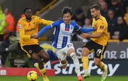 Nhận định Brighton vs Wolves: Trở lại quỹ đạo