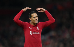 Nhận định Liverpool vs Fulham: Chiến thắng nhọc nhằn