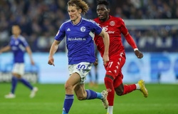 Tỷ lệ kèo trận Mainz vs Schalke, Bundesliga, 1h30 ngày 6/5