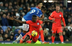 Nhận định Brighton vs Everton: Gieo sầu cho đội khách