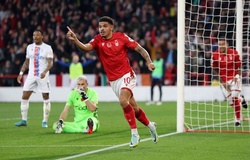 Nhận định Crystal Palace vs Nottingham: Cả hai cùng vui