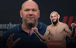 Dana White phủ nhận tin đồn "nhảm nhí" về Khamzat Chimaev