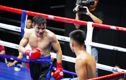 Các võ sĩ Boxing Việt Nam đang thích nghi với bộ luật chuyên nghiệp như thế nào?