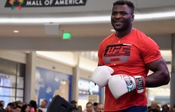 Francis Ngannou dời lịch ra mắt PFL MMA sang 2024, ưu tiên đánh Boxing trước?