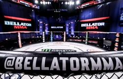 Giải Bellator MMA tự rao bán chính mình, hi vọng vào ông chủ mới