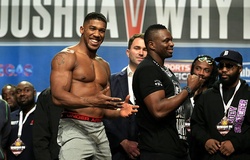 Boxing: Anthony Joshua xuống nước, Dillian Whyte quay lại đàm phán