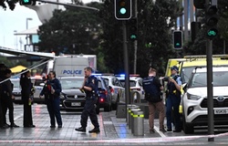 FIFA trấn an đội tuyển nữ Việt Nam sau vụ xả súng ở New Zealand