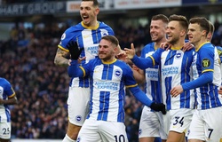 Nhận định, soi kèo Brighton vs Vallecano: Mòng biển cất cánh