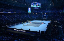 Bốc thăm chia bảng ATP Finals 2023: Djokovic đối đầu Sinner, Alcaraz cùng bảng Medvedev