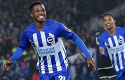 Dự đoán Brighton vs Sheffield United, 21h00 ngày 12/11, Ngoại hạng Anh