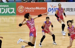 Thanh Thuý chơi đầy nỗ lực, PFU BlueCats vẫn thảm bại tước Toyota