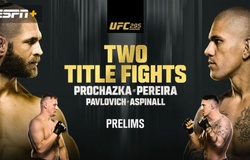 Kết quả UFC 295: Prochazka vs. Pereira, Pavlovich vs. Aspinall