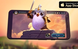 DTCL Mobile bao giờ ra mắt tại Việt Nam? 