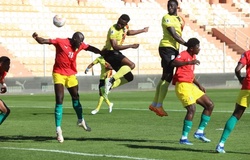 Dự đoán Cameroon vs Guinea, 0h00 ngày 16/1, Cúp châu Phi