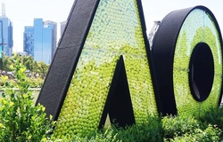 Kết quả quần vợt Úc Mở rộng 2024 mới nhất