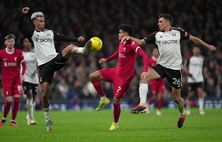 Dự đoán Fulham vs Newcastle, 2h00 ngày 28/1, FA Cup